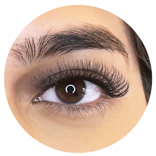 Elegance lash extensions offer soft volume with a criss-cross effect.